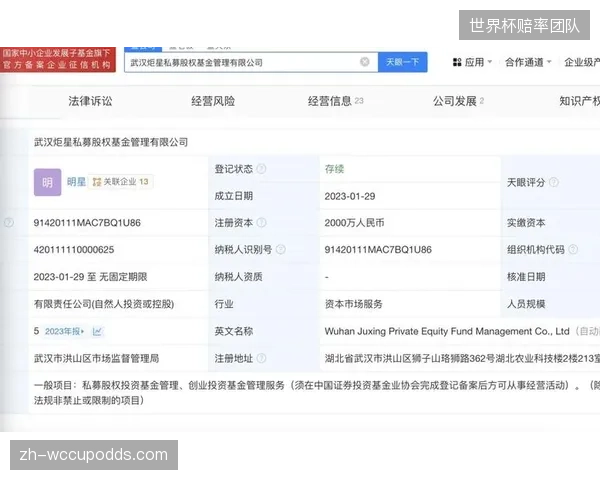 继投资俱乐部和联赛之后，私募股权基金的下一个目标将是直接收购或投资特定赛事在特定周期的媒体版权包，并进行专业化的市场运作